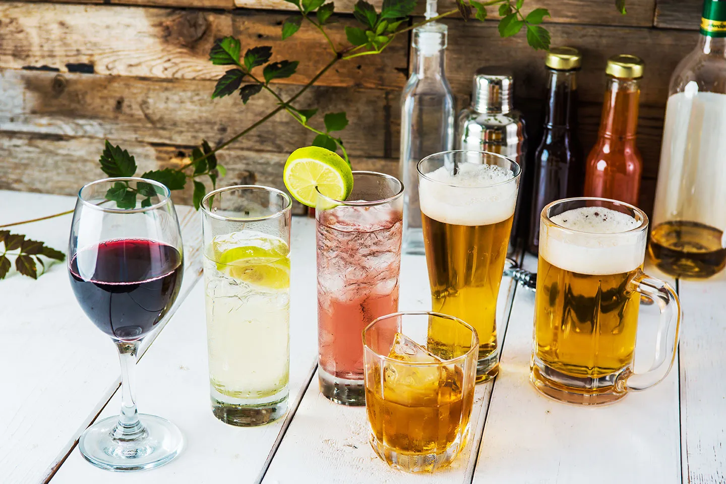 より楽しんでいただくためのメニュー